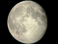 The Moon Age Calendar  ꡼ƥ󥰥 ͥ